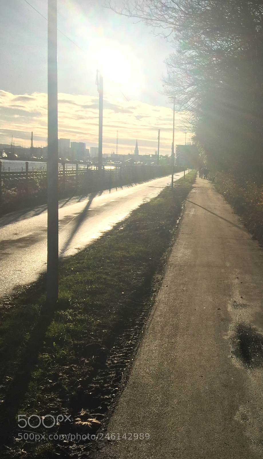 Apple iPhone 6 sample photo. A road to somewhere photography