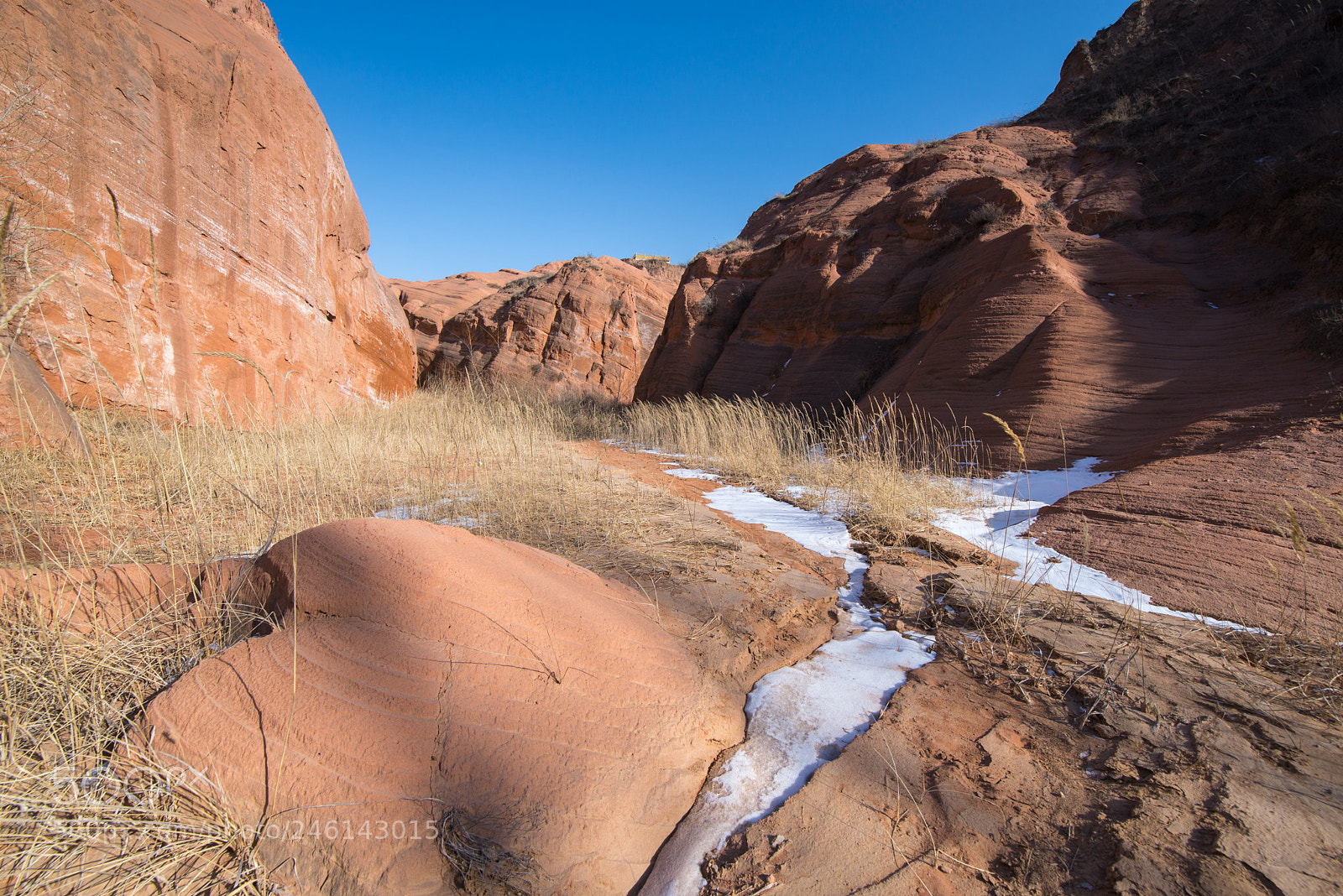 Nikon D610 sample photo. Valley photography