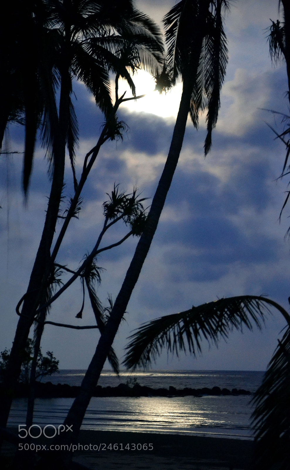 Nikon D3100 sample photo. Moonlight on mission beach photography