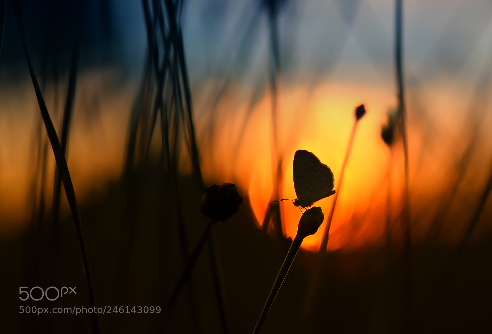 Canon EOS 7D sample photo. Sunset photography