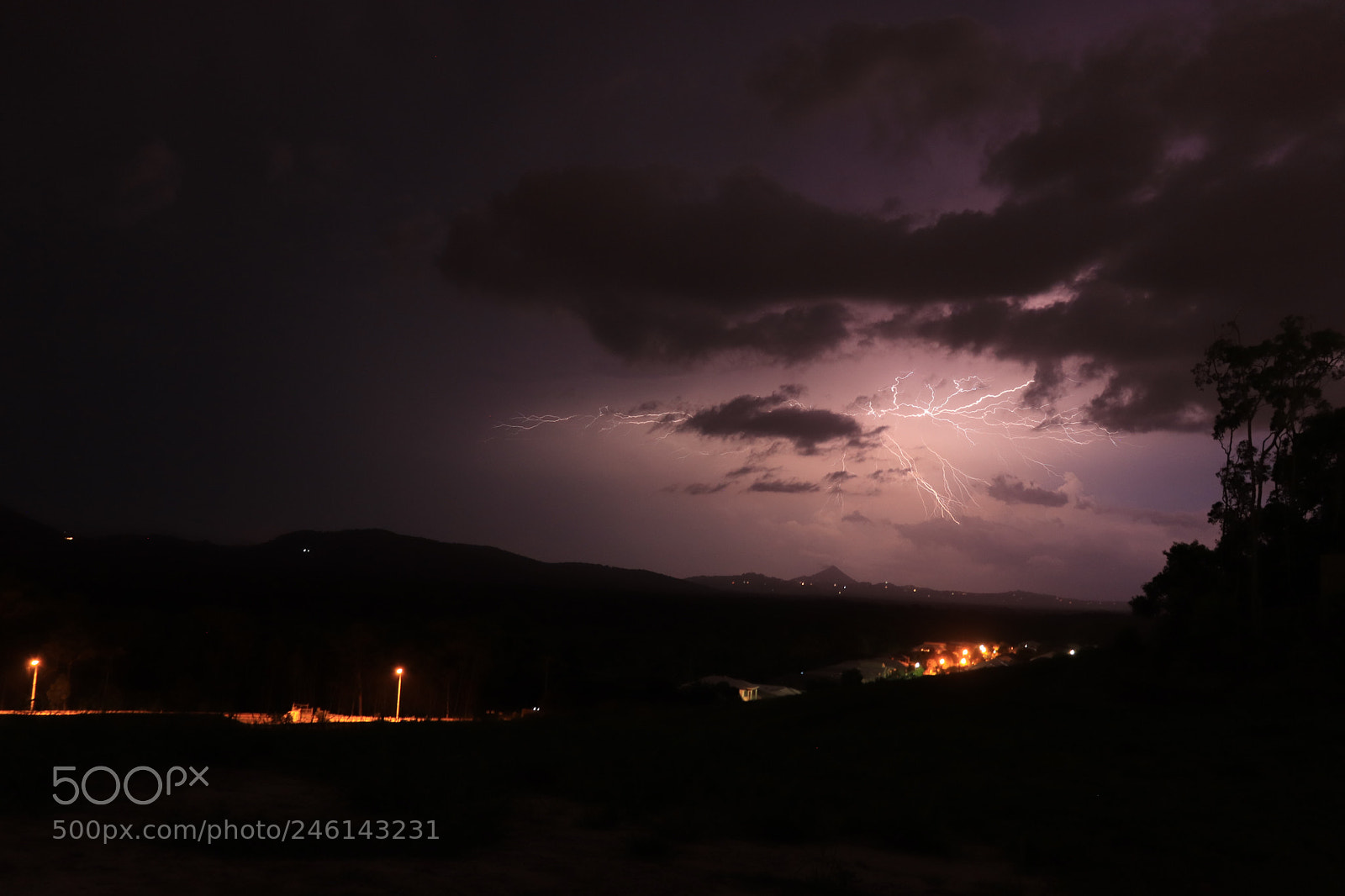 Canon EOS 77D (EOS 9000D / EOS 770D) sample photo. Lightning crawler photography