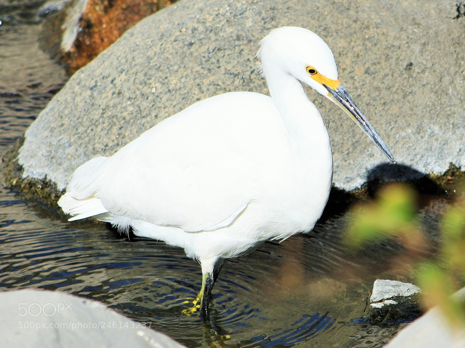 Canon EOS 1000D (EOS Digital Rebel XS / EOS Kiss F) sample photo. (cooling off) photography