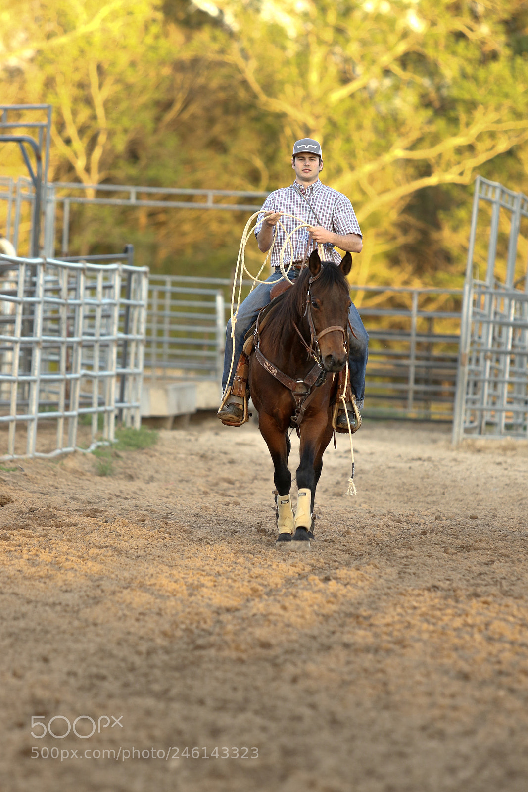 Canon EOS 7D Mark II sample photo. Graceful photography