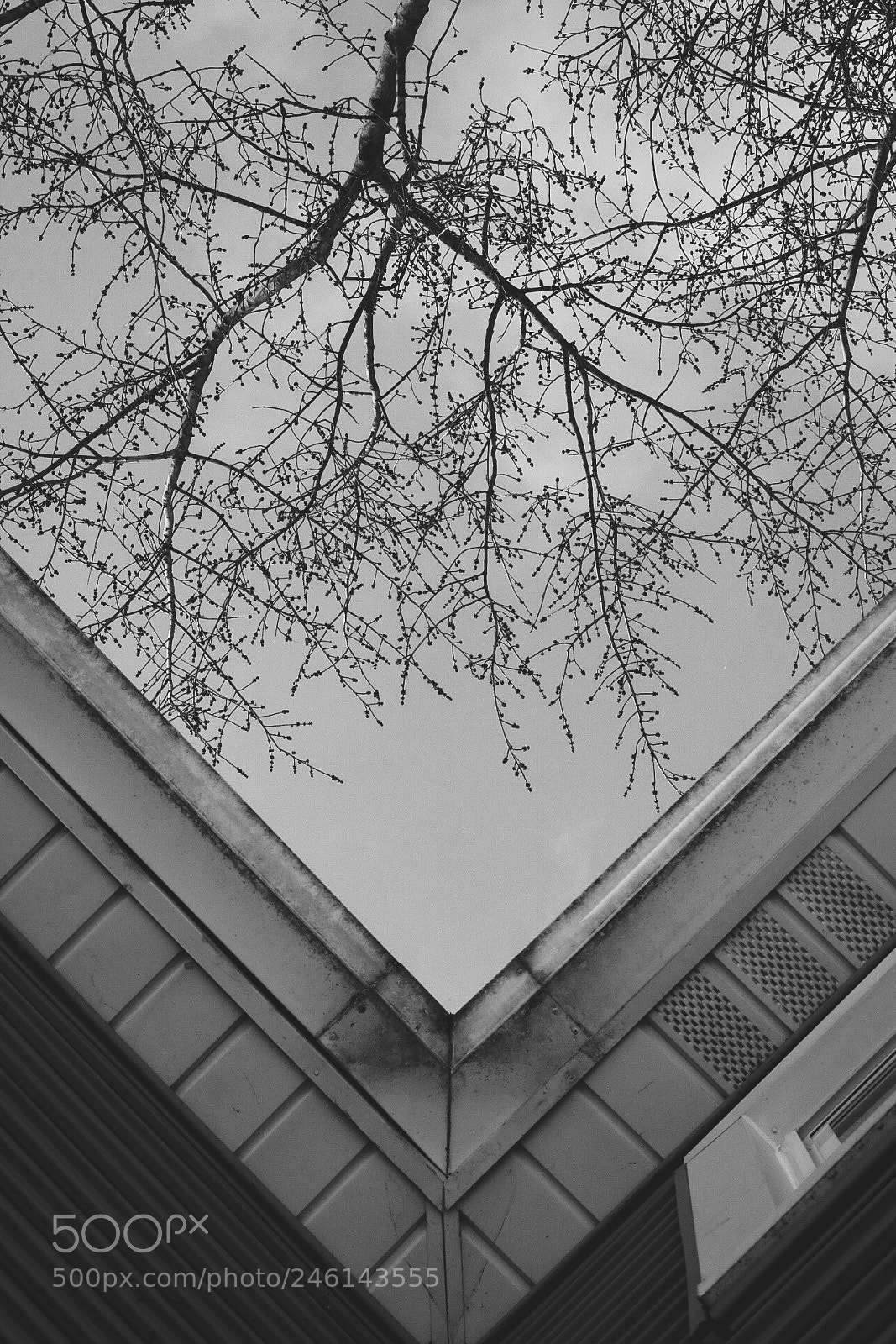 Canon EOS 750D (EOS Rebel T6i / EOS Kiss X8i) sample photo. Untitled photography