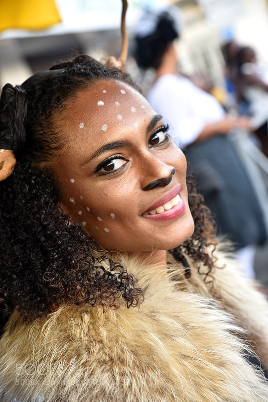 Nikon AF-S Nikkor 24-120mm F4G ED VR sample photo. Carnaval photography