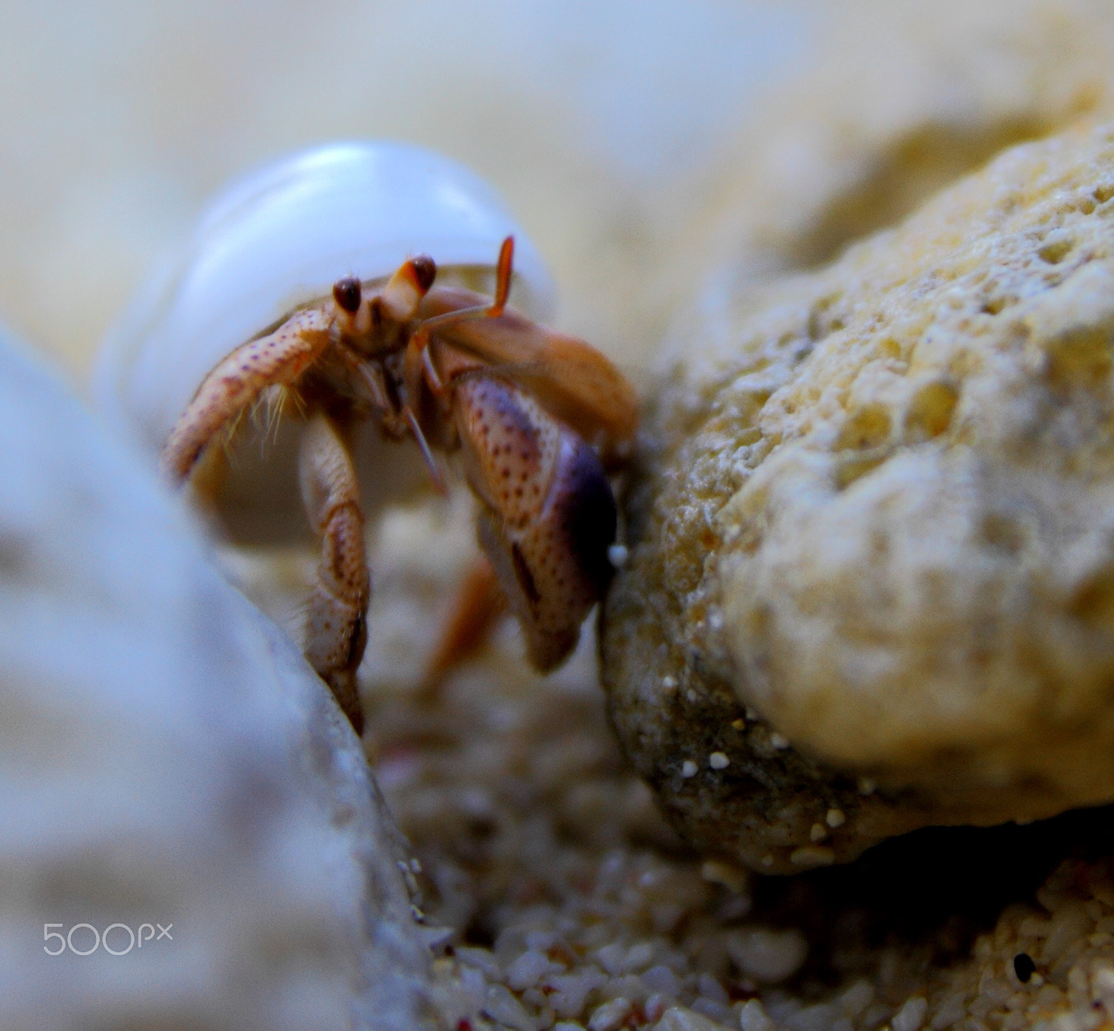 Canon EOS 7D sample photo. Tight spot photography