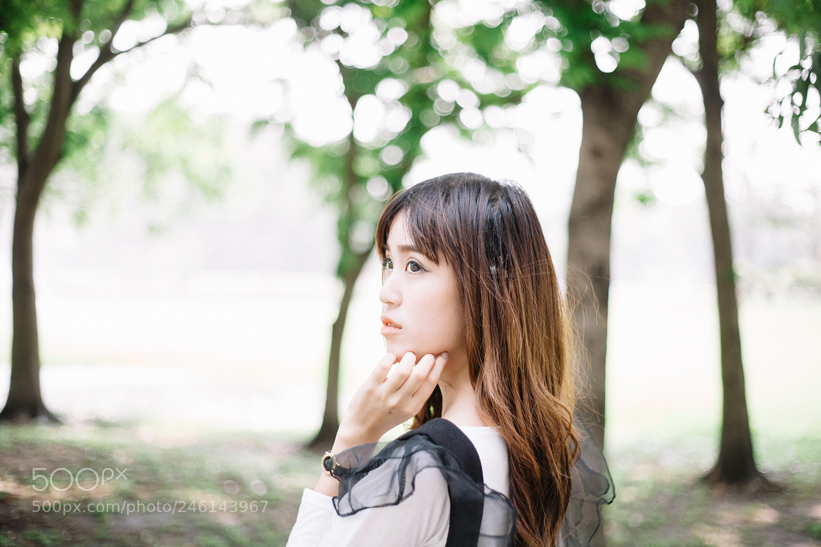 Canon EOS 5D sample photo. Beauty and the nature #16 photography