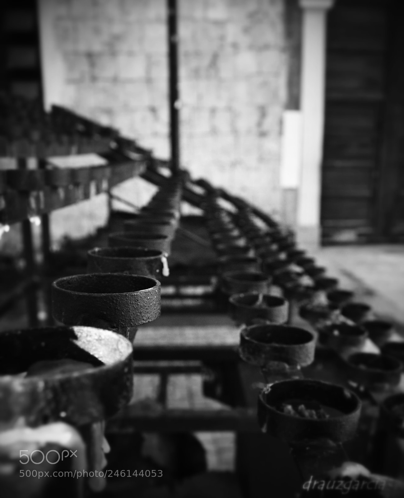 Nikon D3100 sample photo. Untitled photography