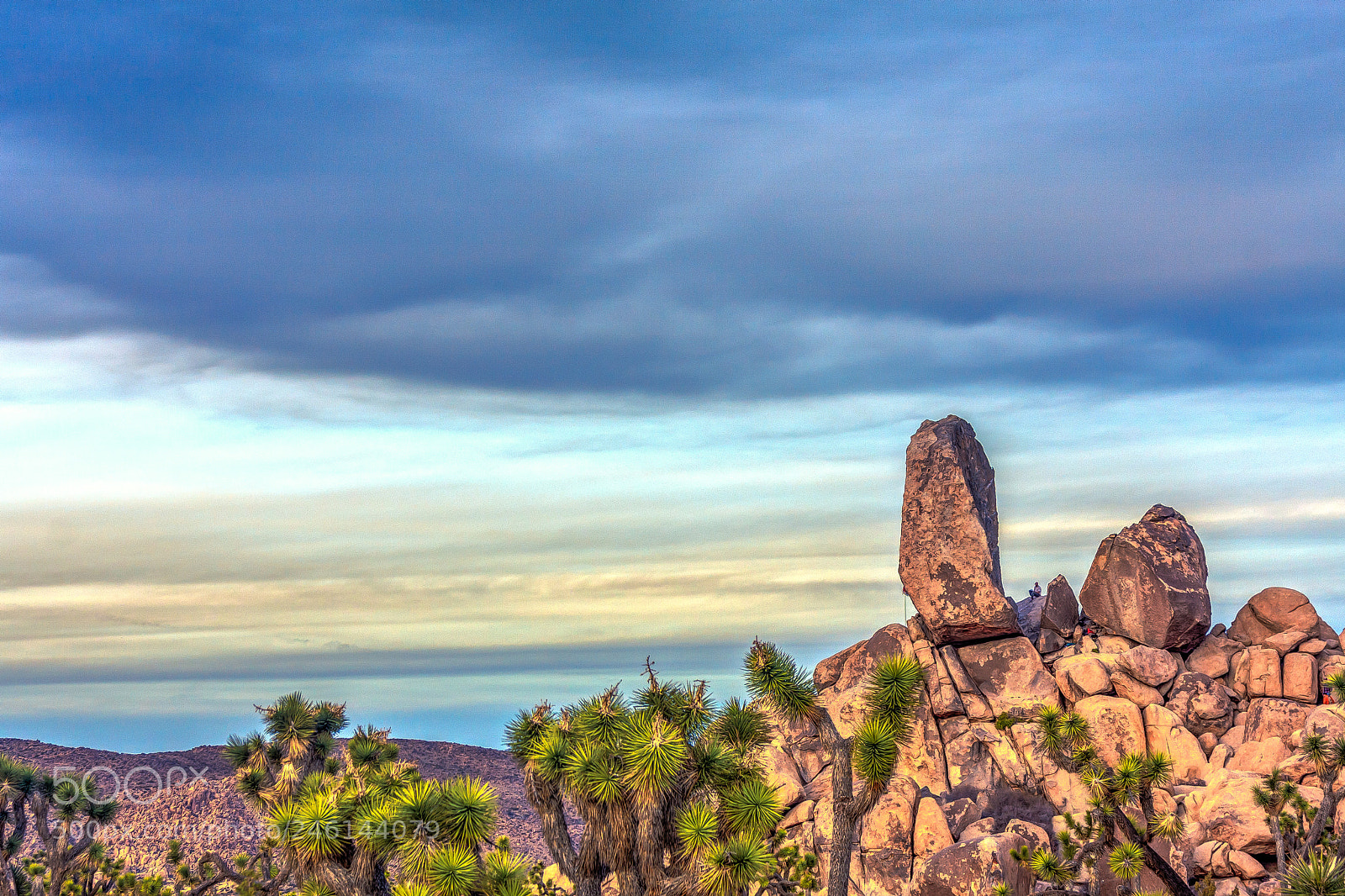 Canon EOS 40D sample photo. Joshua tree rocks photography