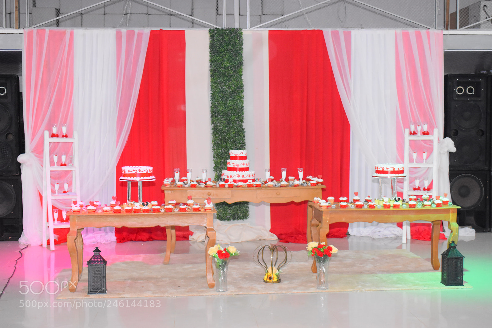 Nikon D5500 sample photo. Lizmar eventos photography