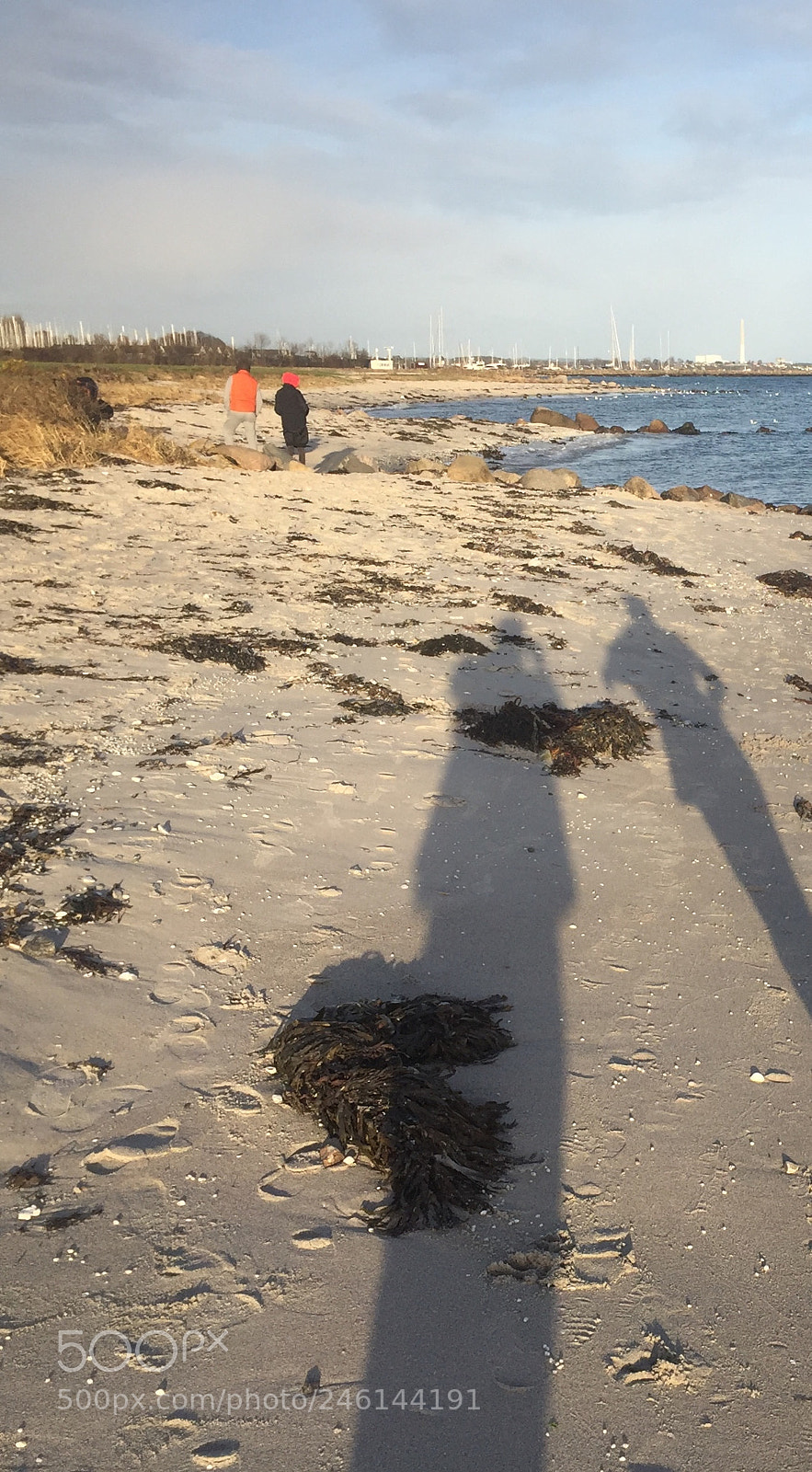 Apple iPhone 6 sample photo. A stretch too far photography