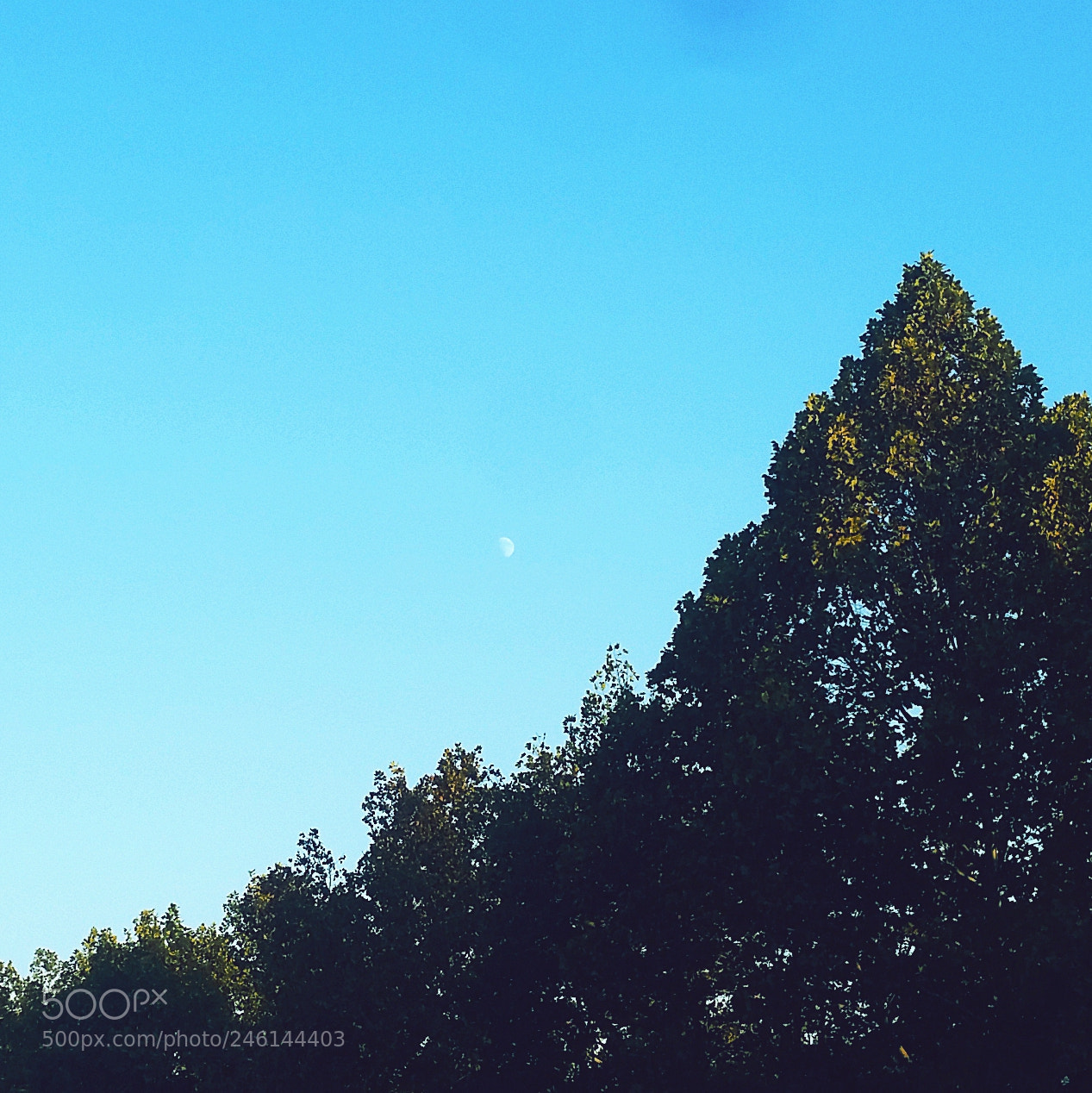 Samsung Galaxy S5 sample photo. 白昼の月 photography