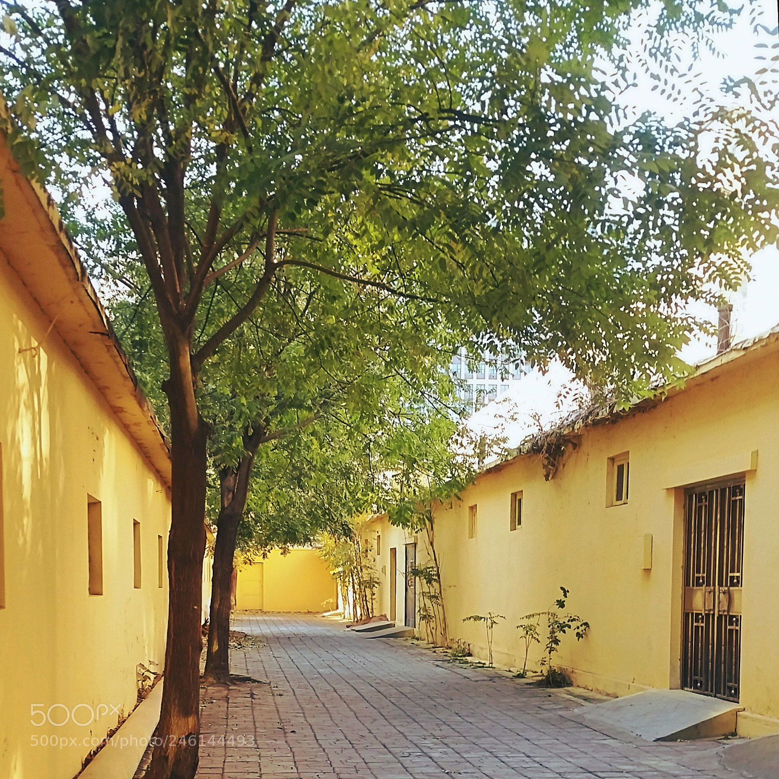 Samsung Galaxy S5 sample photo. Yellow alley photography