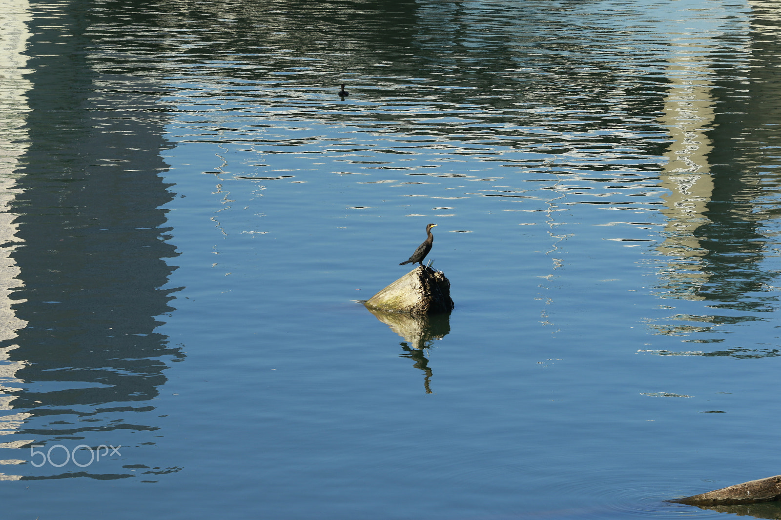 Canon EF 70-200mm F4L USM sample photo. Riverside today.... photography