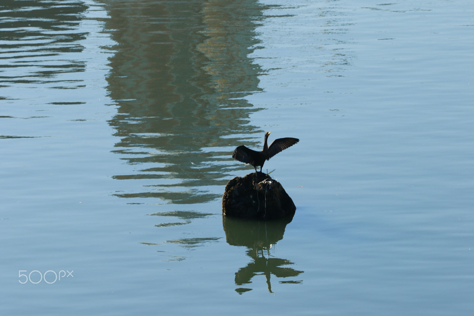 Canon EF 70-200mm F4L USM sample photo. Riverside today.... photography