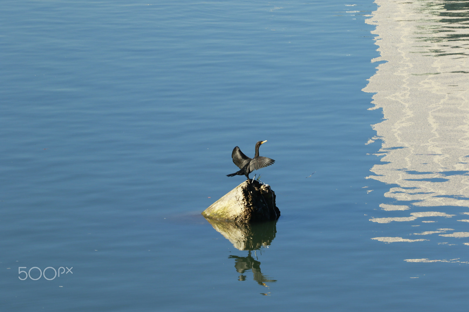 Canon EF 70-200mm F4L USM sample photo. Riverside today.... photography
