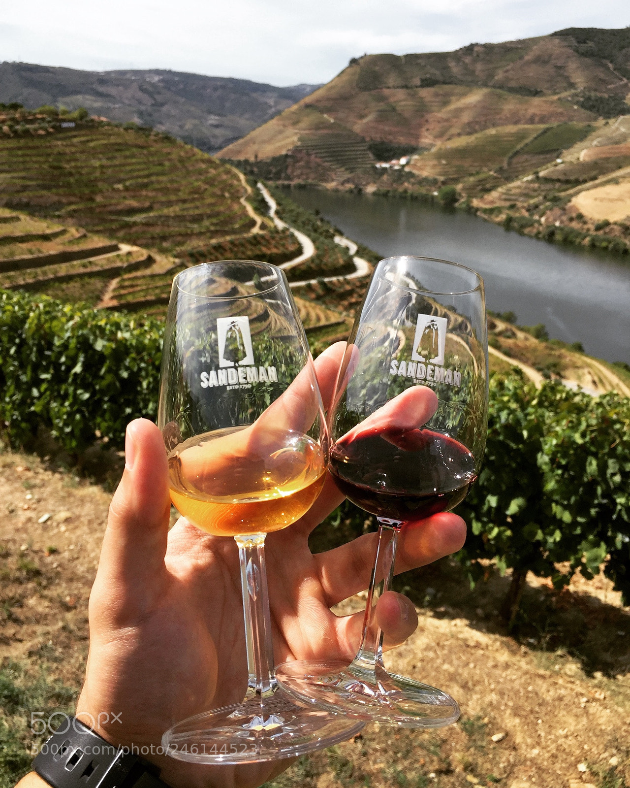 Apple iPhone 6 sample photo. Ouro do douro photography