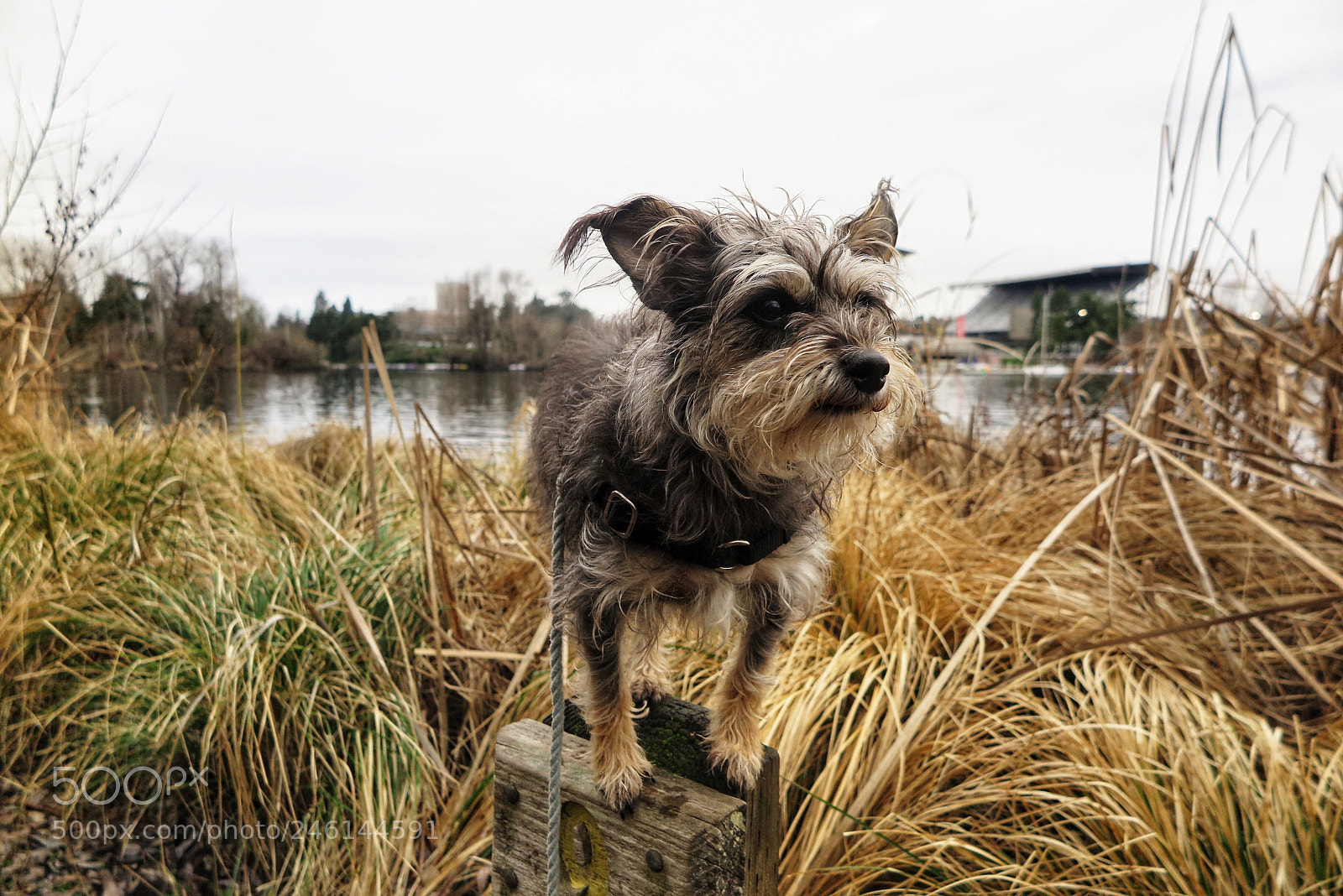 Canon PowerShot G1 X Mark II sample photo. Balanced photography