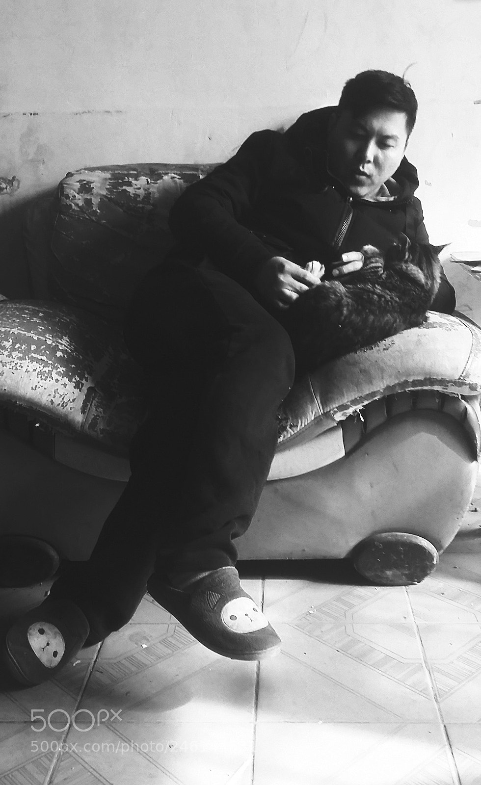 Samsung Galaxy S5 sample photo. The man & the cat photography