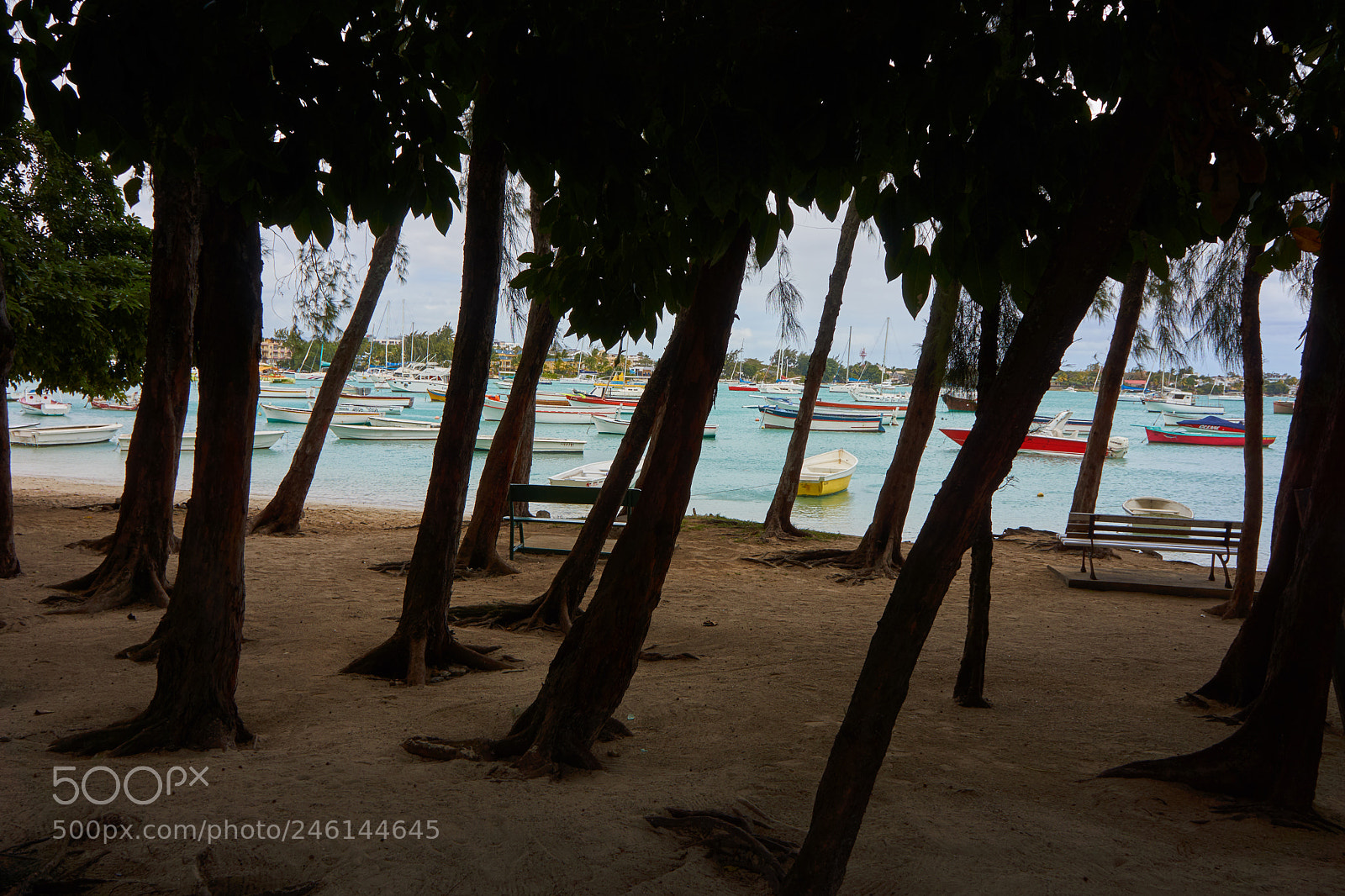 Sony Alpha NEX-7 sample photo. Mauritius photography