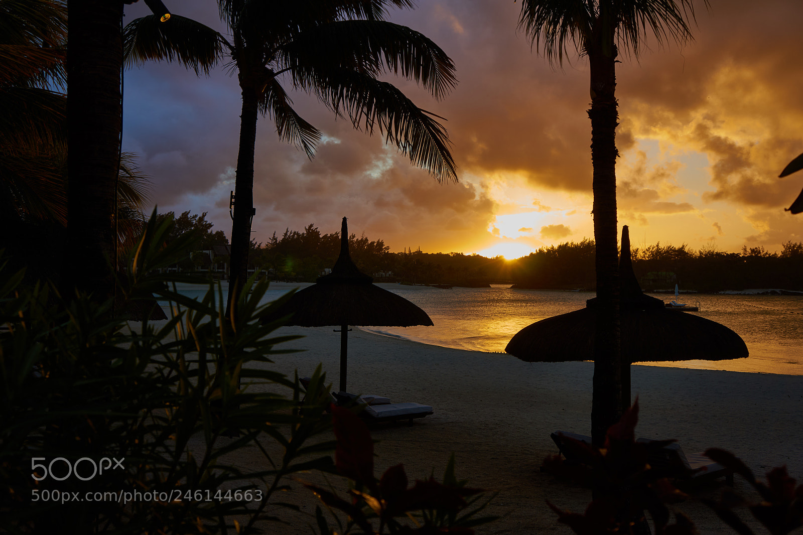 Sony Alpha NEX-7 sample photo. Mauritius photography