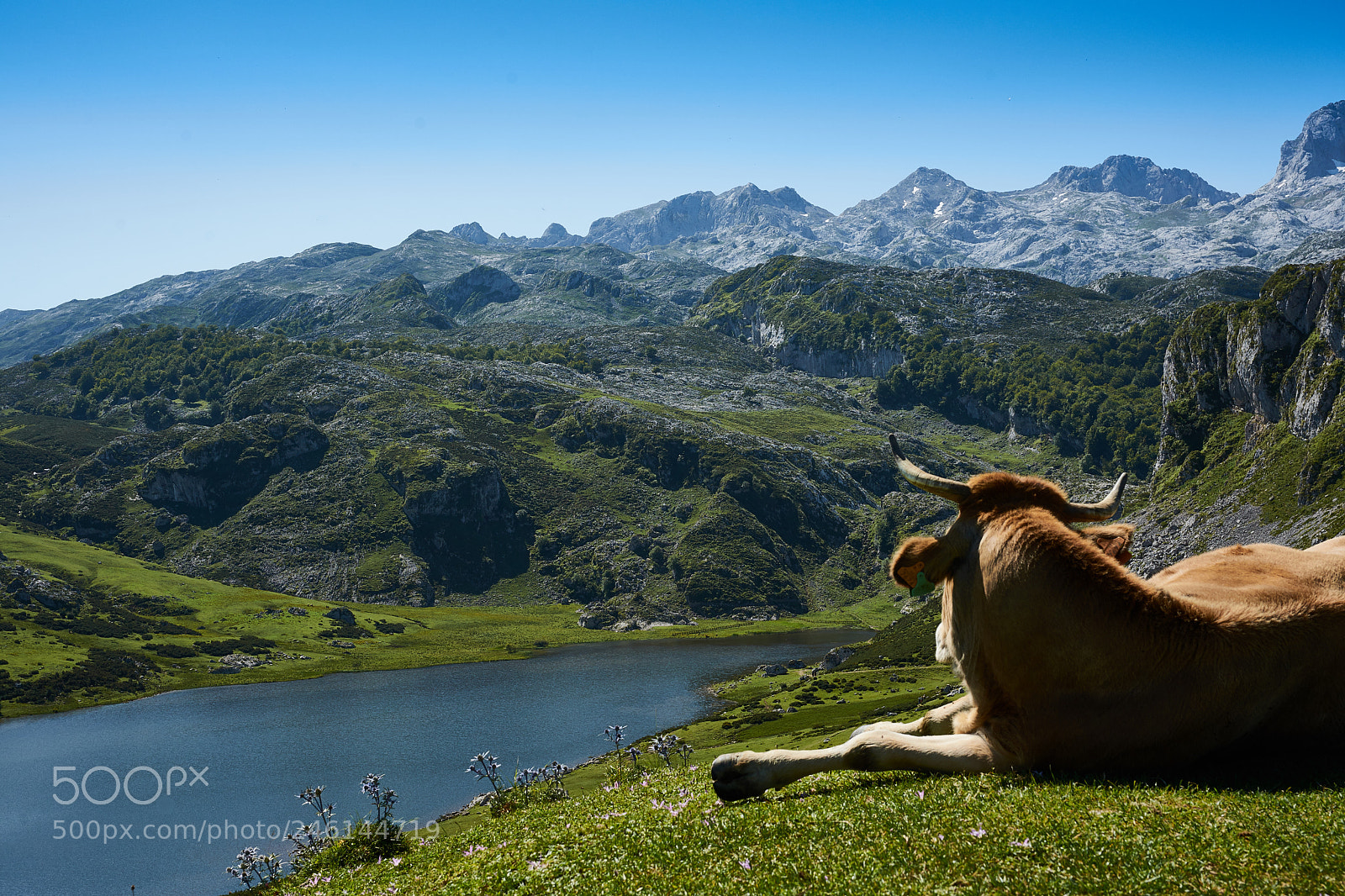 Sony Alpha DSLR-A900 sample photo. Asturias photography