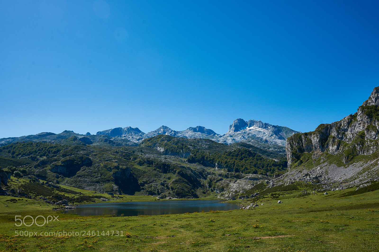 Sony Alpha DSLR-A900 sample photo. Asturias photography