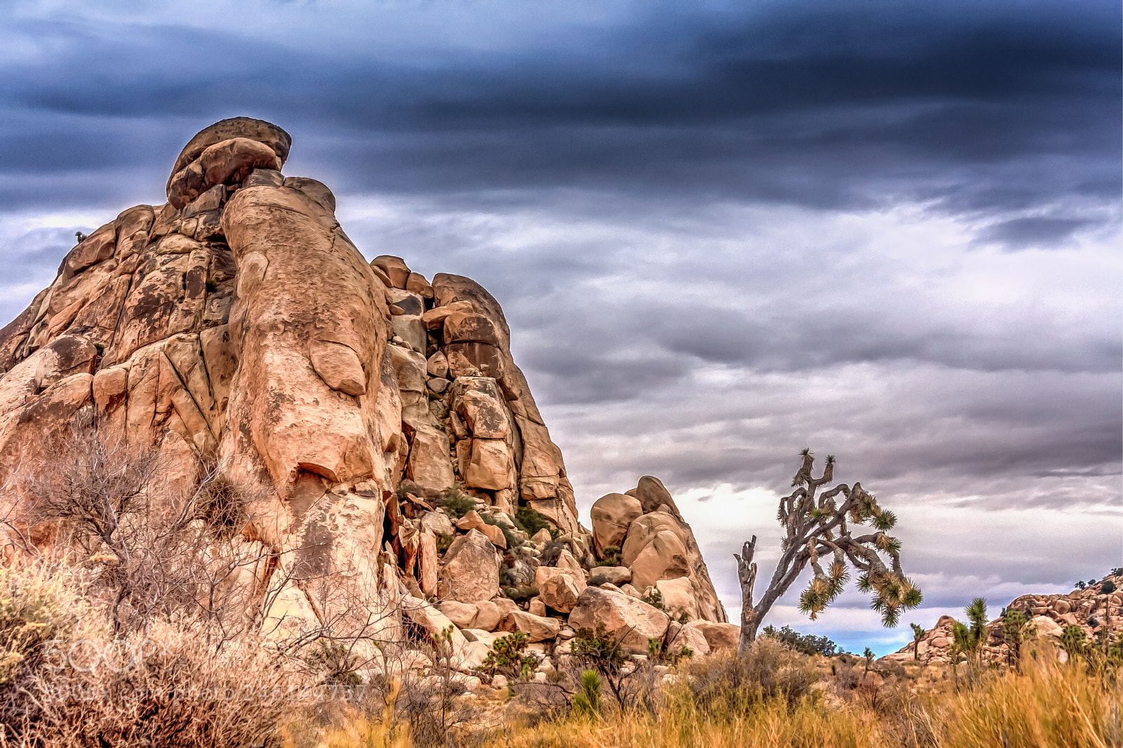 Canon EOS 40D sample photo. Massive rocks in joshua photography