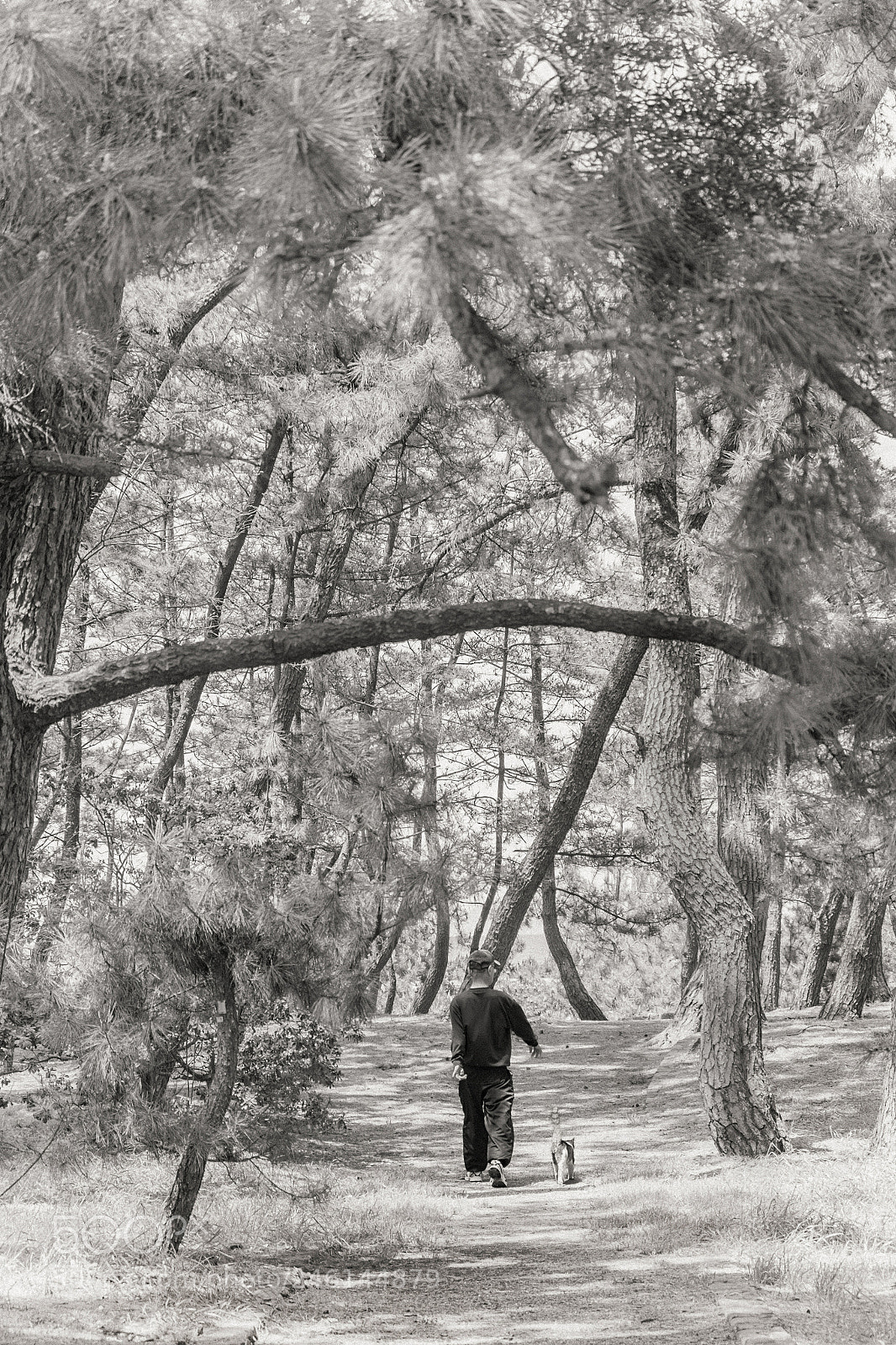 Fujifilm X-E1 sample photo. Dsfsss photography