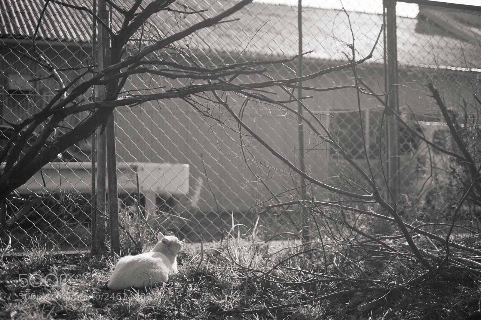 Fujifilm X-T1 sample photo. Dsf photography