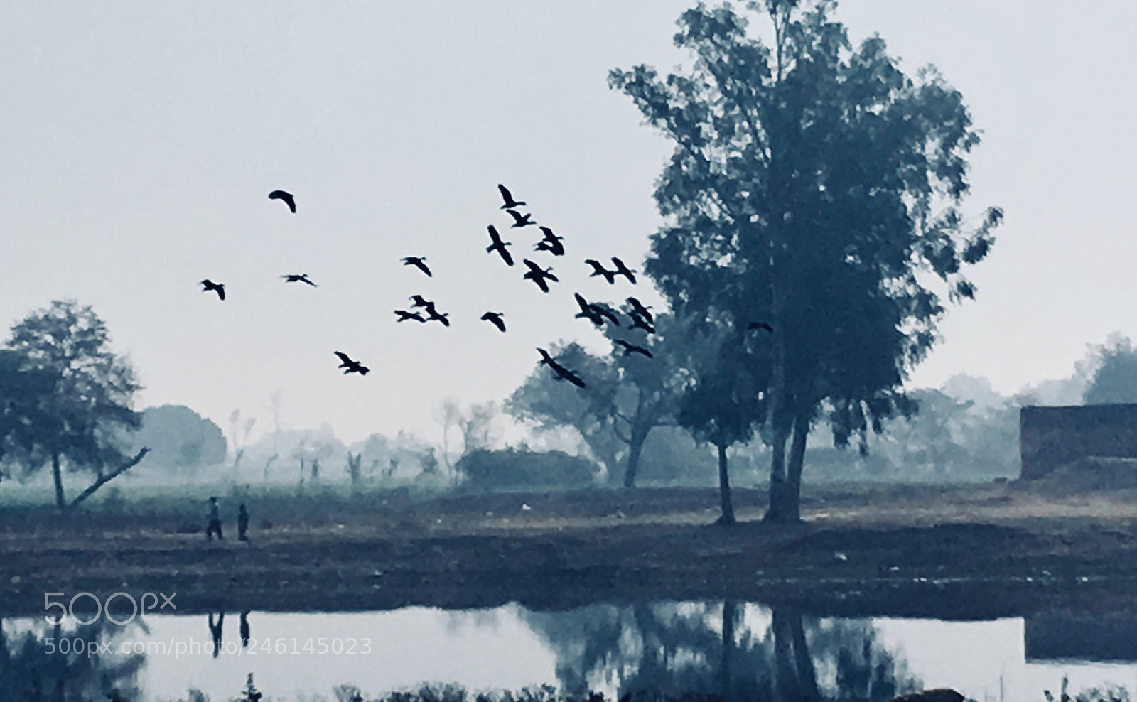 Apple iPhone 6s sample photo. Beauty of nature photography