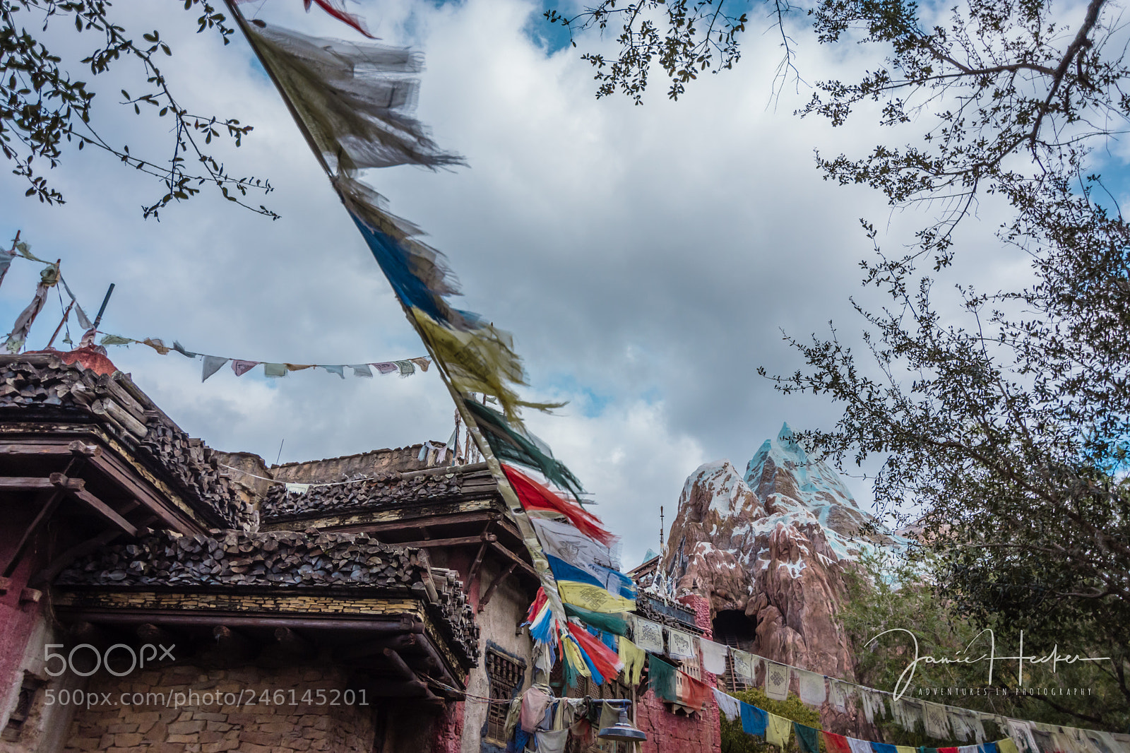 Nikon D7200 sample photo. Tattered photography