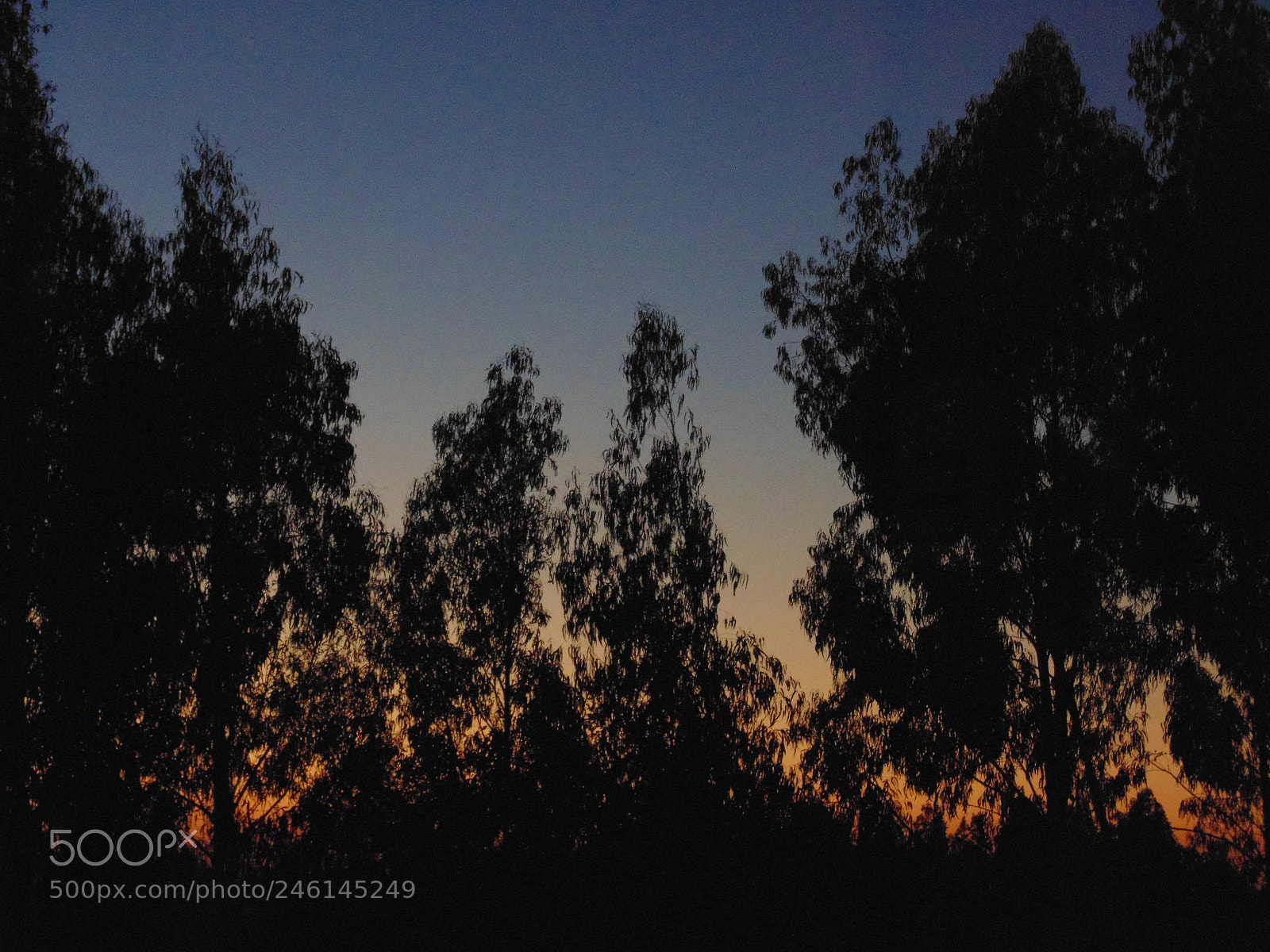 Sony Cyber-shot DSC-H200 sample photo. A sunset in the photography