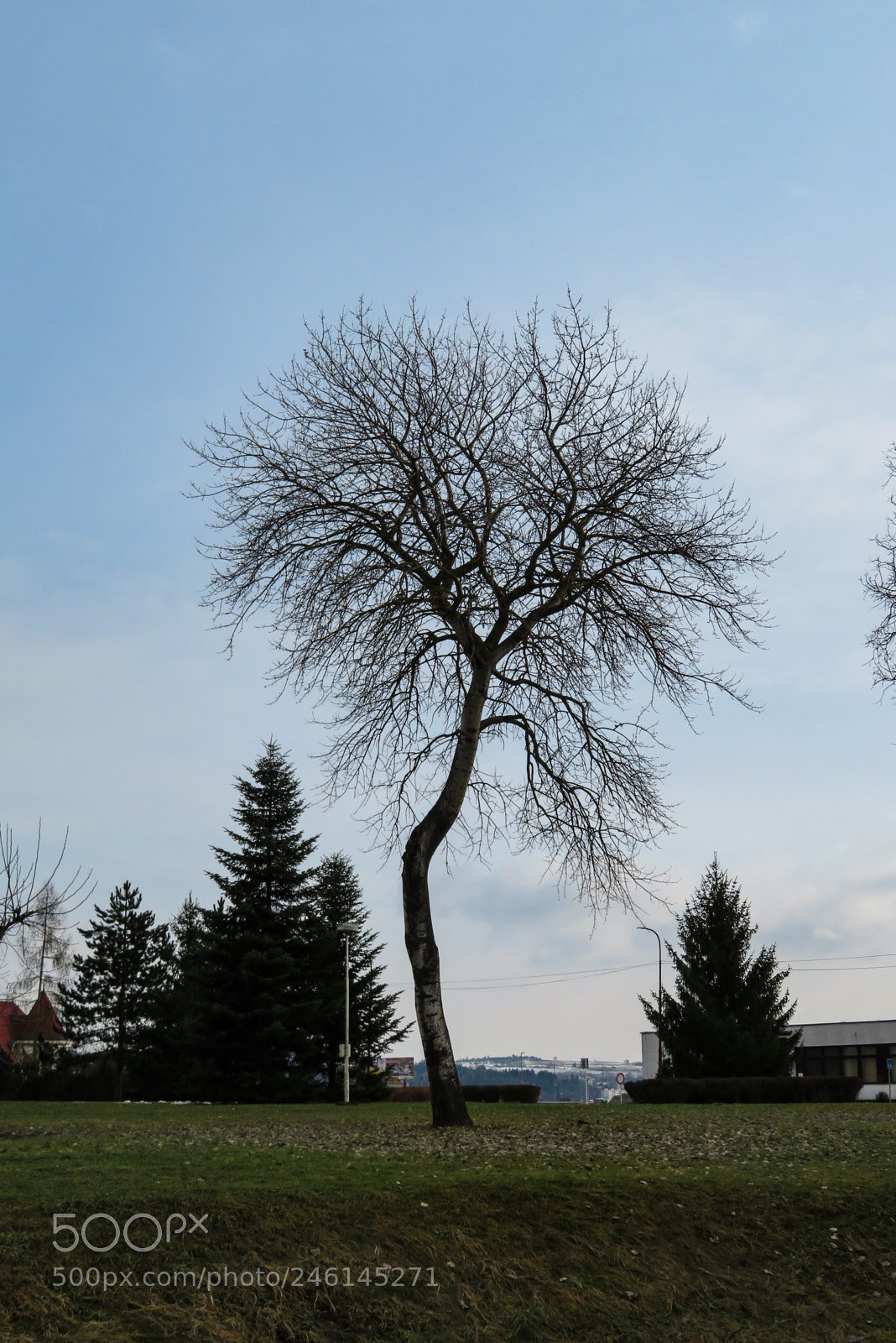 Canon PowerShot SX720 HS sample photo. Edited photography