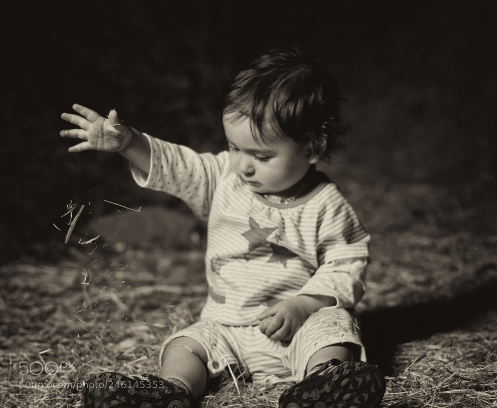 Nikon D7100 sample photo. Jugando photography