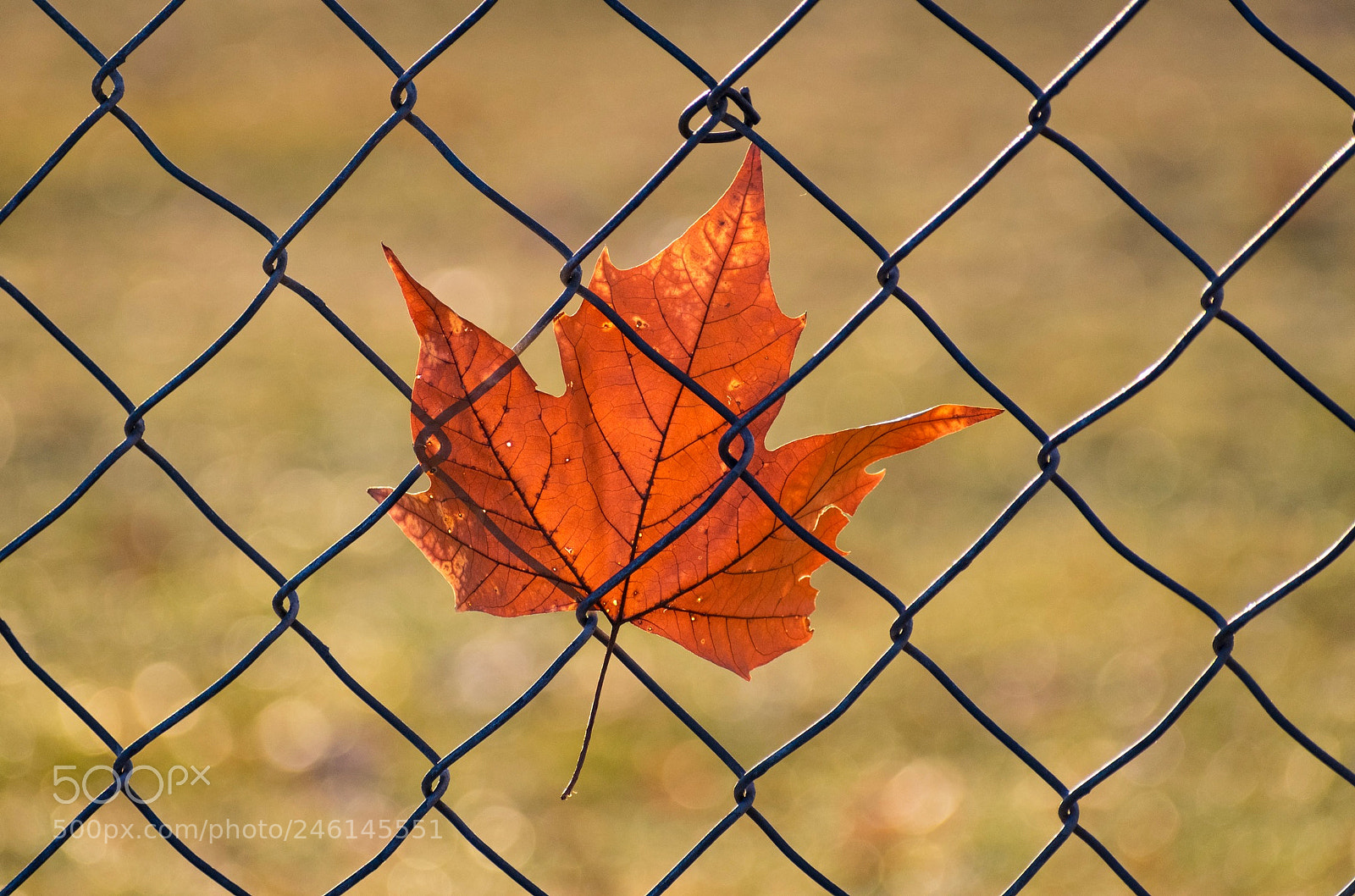 Nikon D3400 sample photo. Leaving it on the photography