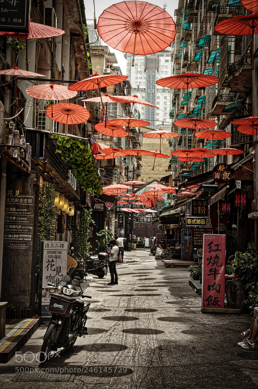Pentax K-3 sample photo. China - 020 - changsha photography
