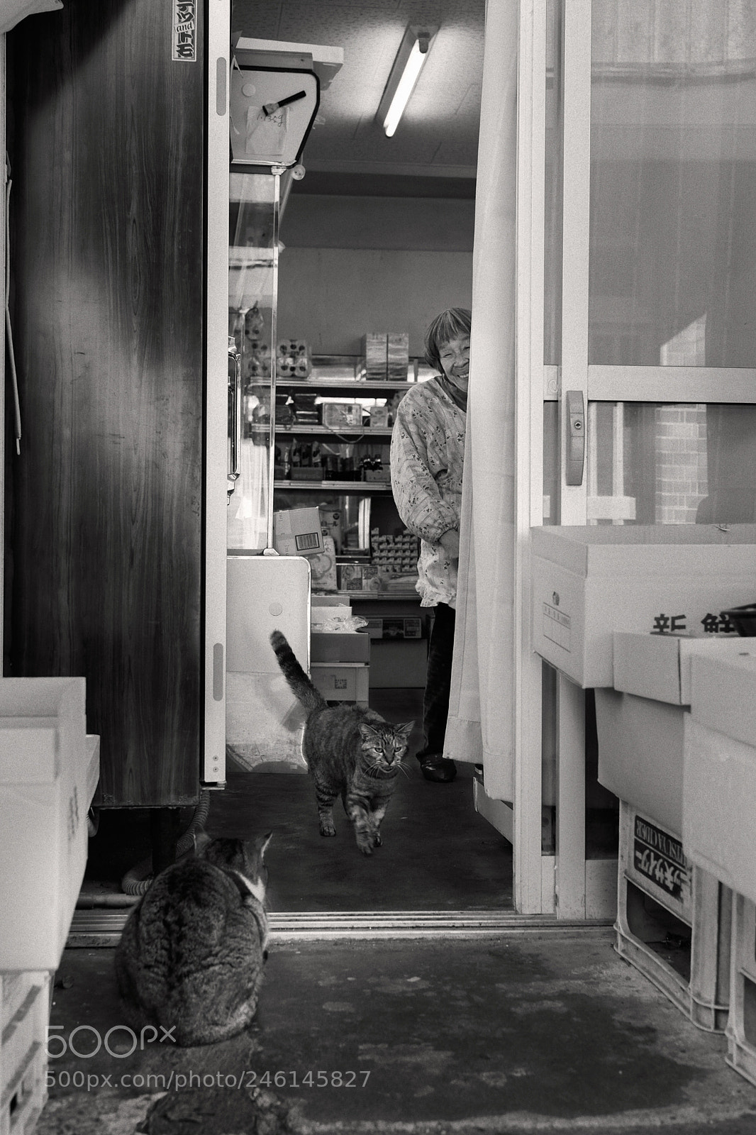 Fujifilm X-T1 sample photo. Dsf photography
