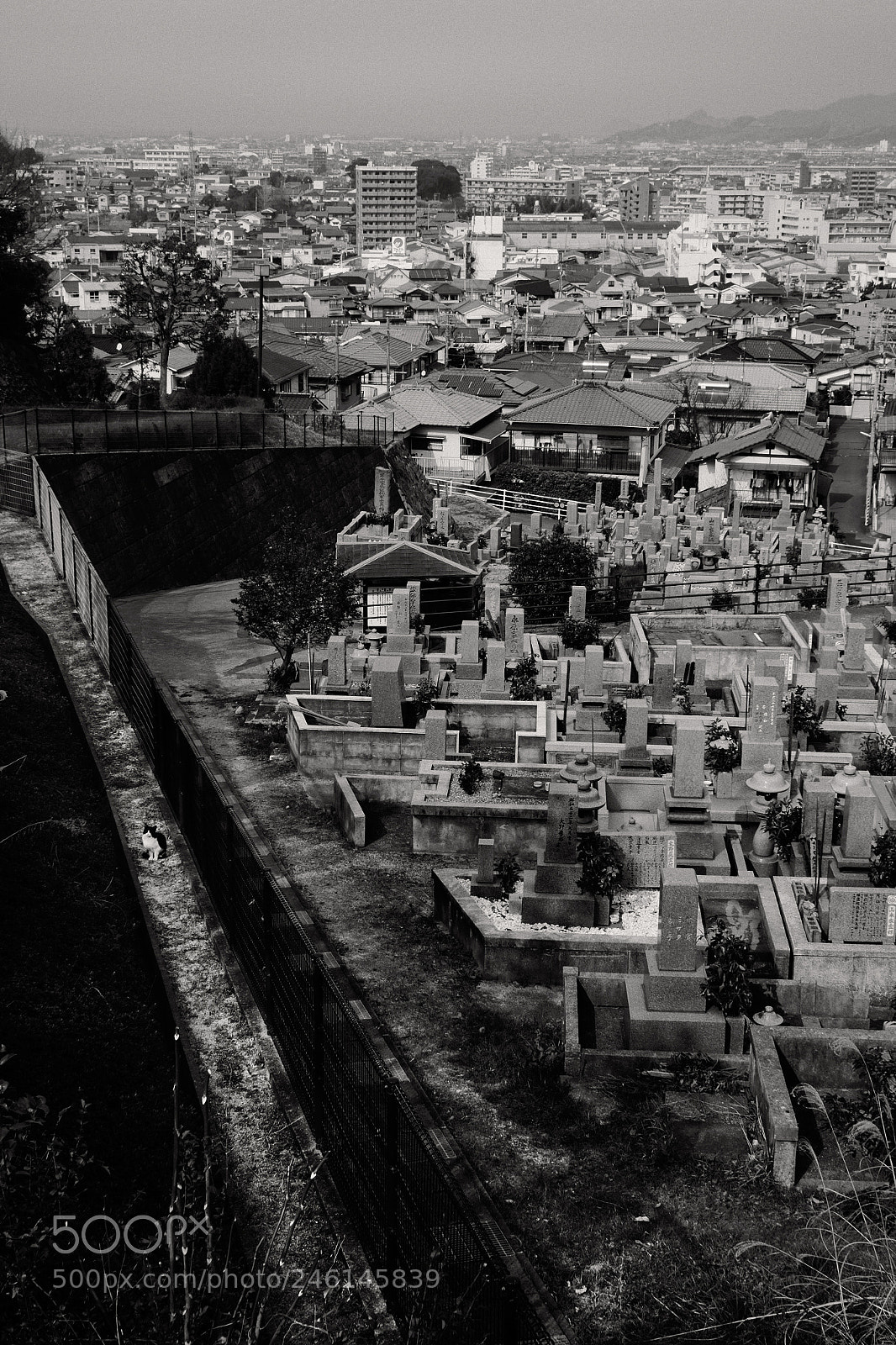 Fujifilm X-T1 sample photo. Dsf photography