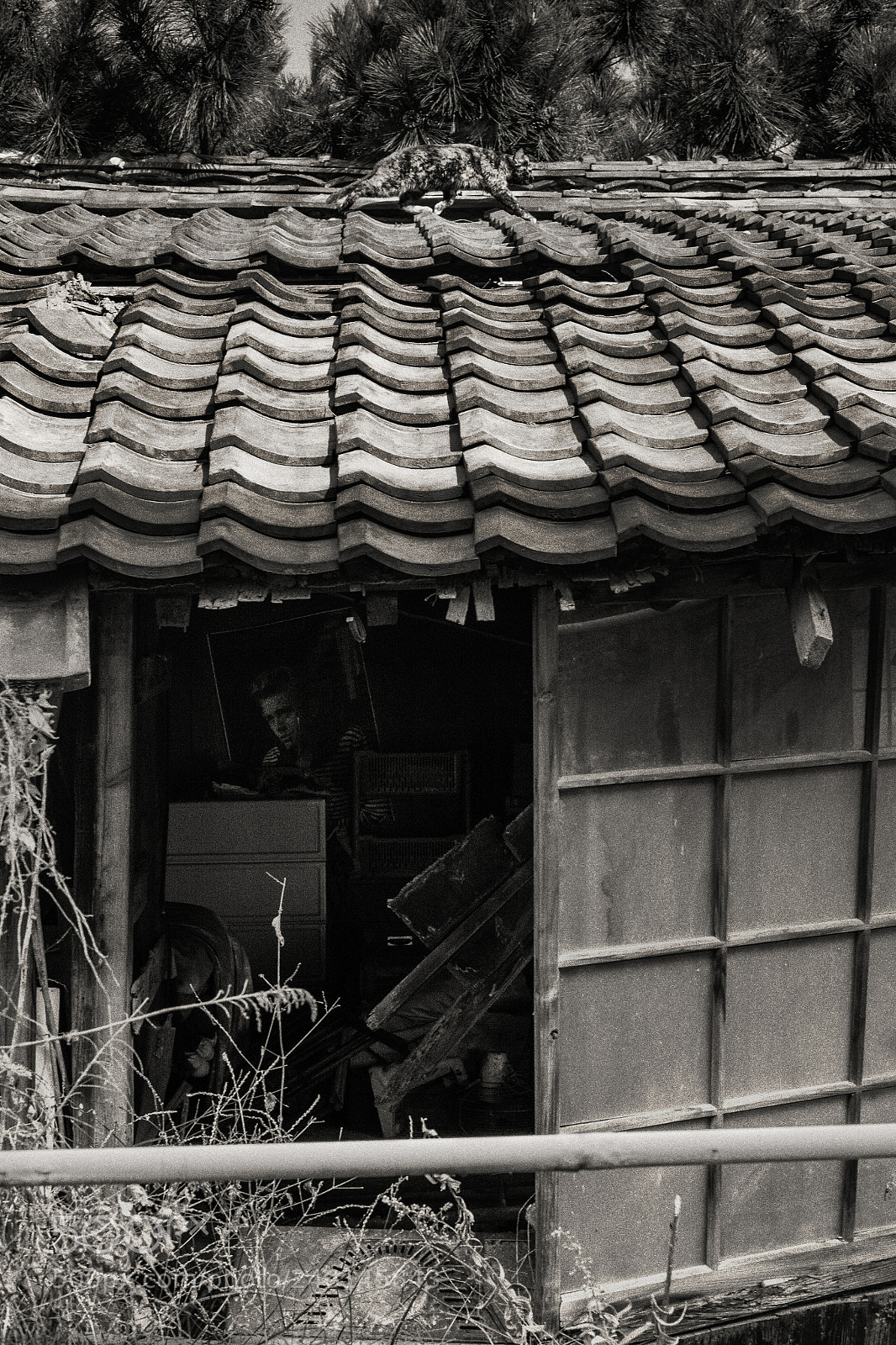 Fujifilm X-T1 sample photo. Masaki photography