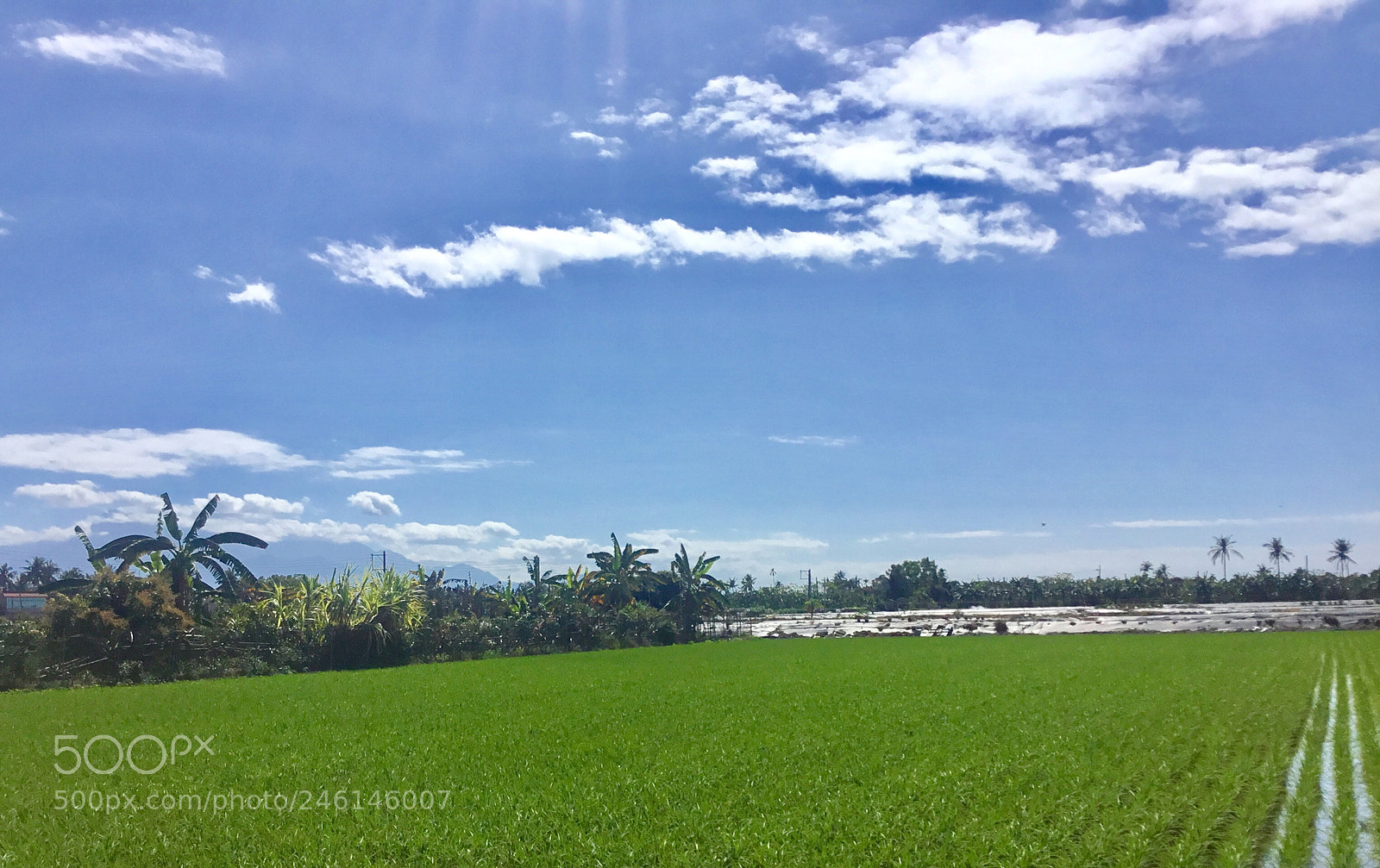 Apple iPad sample photo. Meinong countryside 3 photography