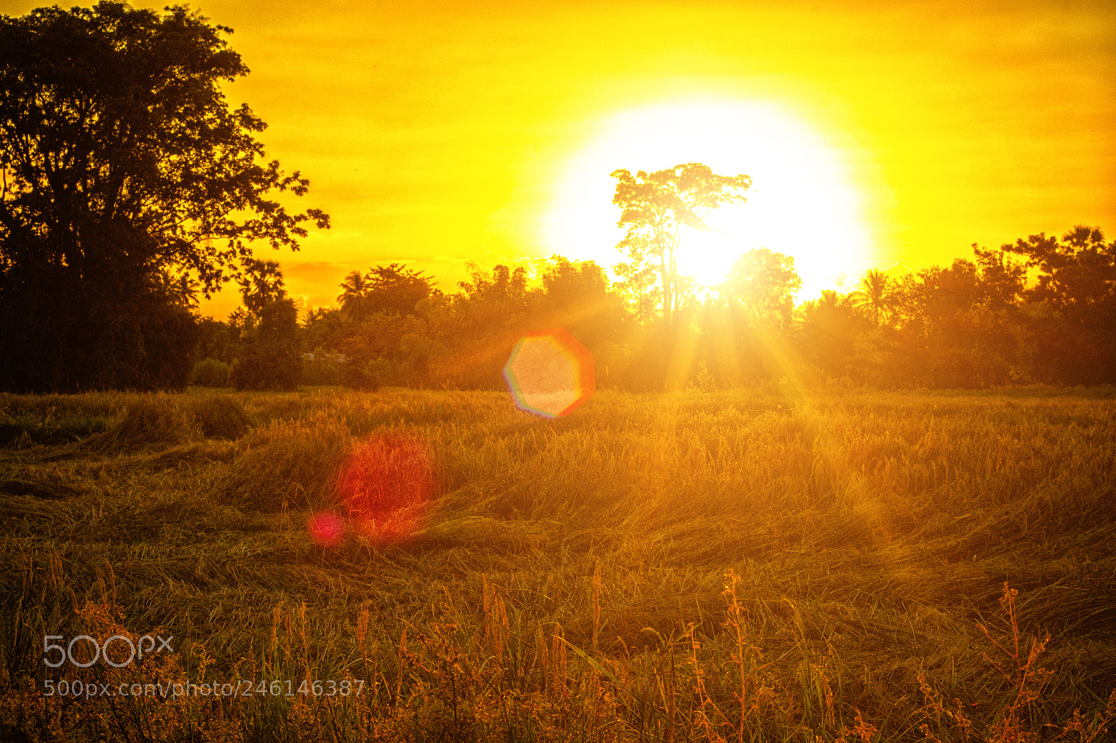 Nikon D3100 sample photo. Land & sunset #1 photography