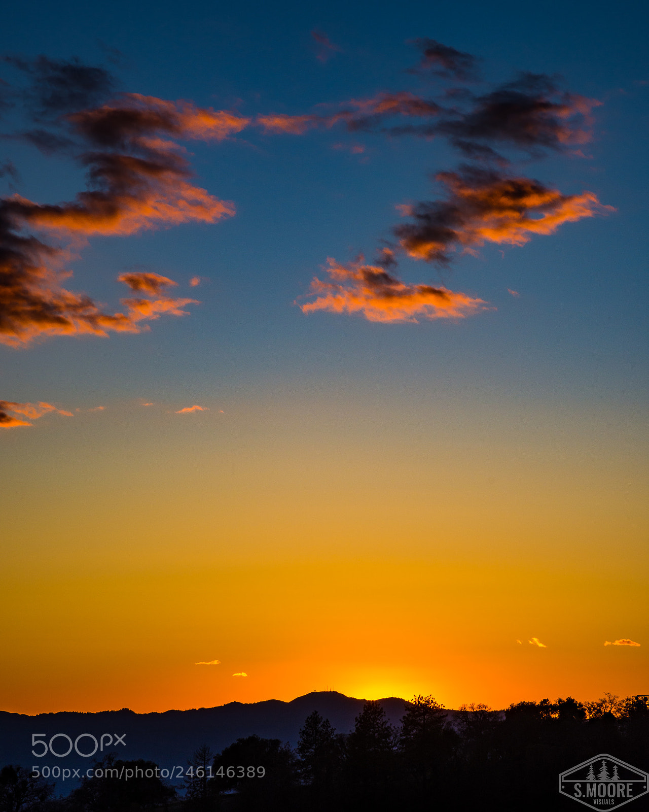 Nikon D7200 sample photo. The last bit of photography