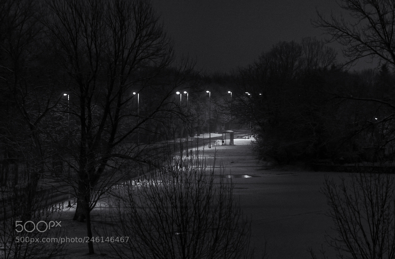 Canon EOS 40D sample photo. While the city sleeps photography