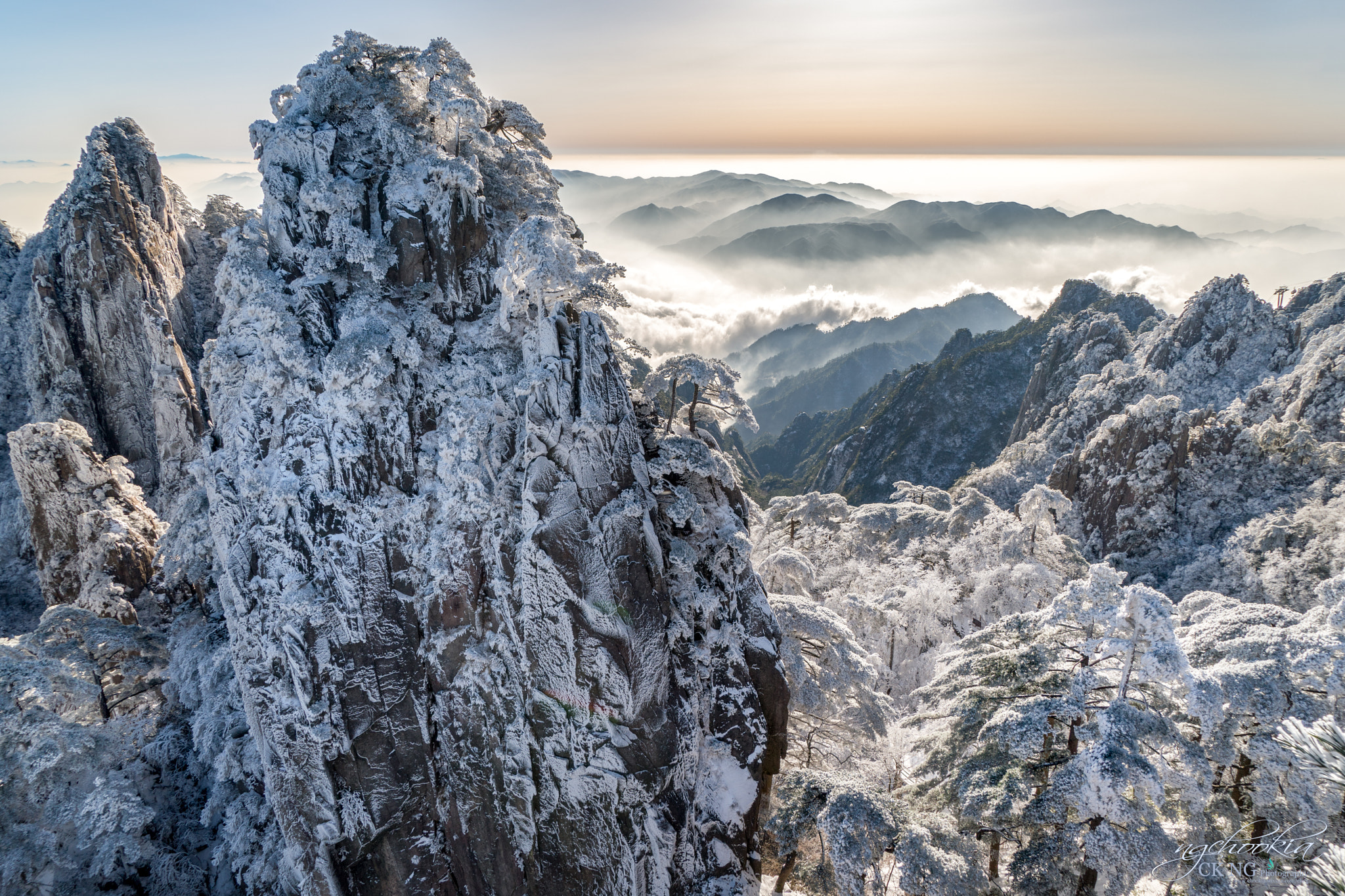 迎客松 The Welcoming Pine is greeting us II 黄山 HuangS