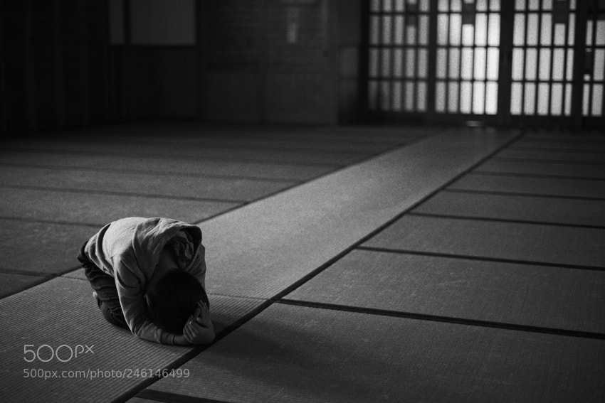 Sony a7 II sample photo. Dsc photography