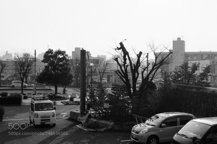 Sony a7 II sample photo. Dsc photography