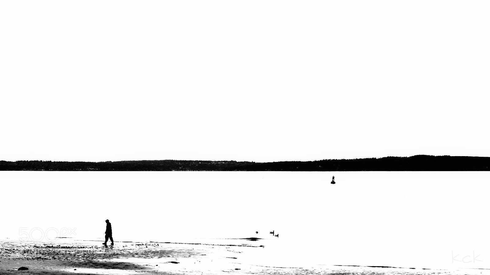 Olympus OM-D E-M10 II sample photo. Low tide. photography