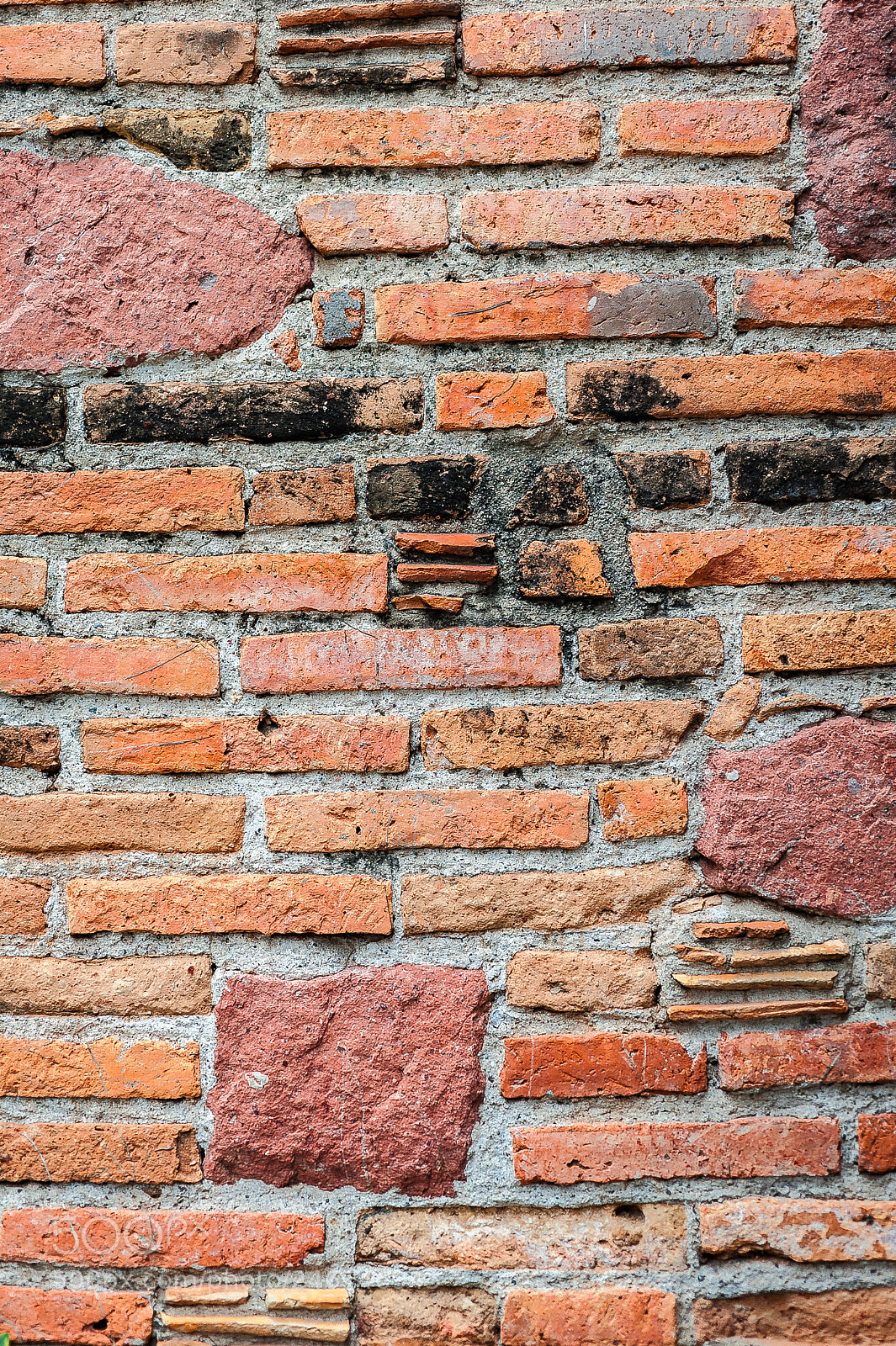 Nikon D700 sample photo. Brick wall photography