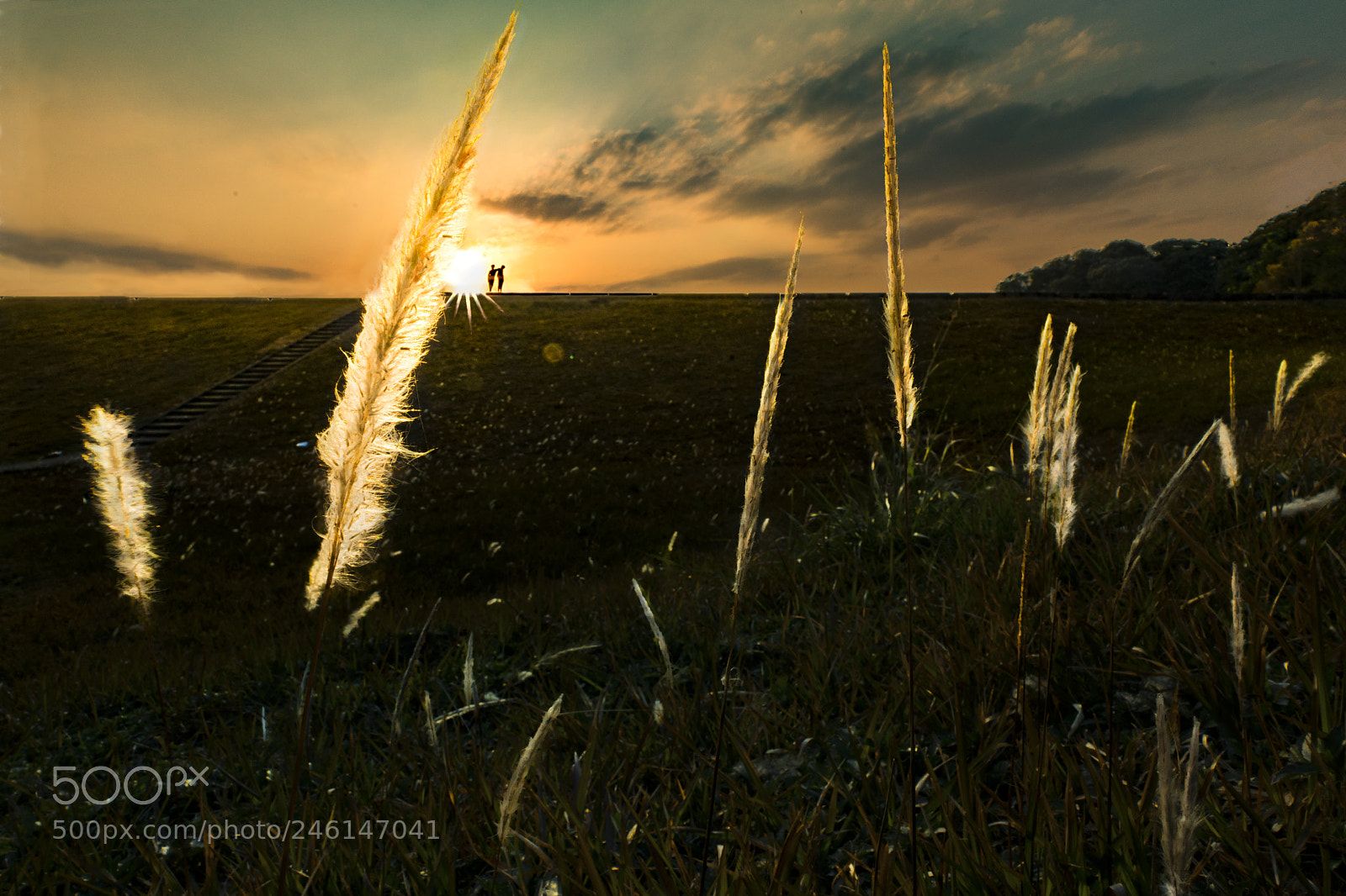 Sony a7R II sample photo. Lightsaber golden photography
